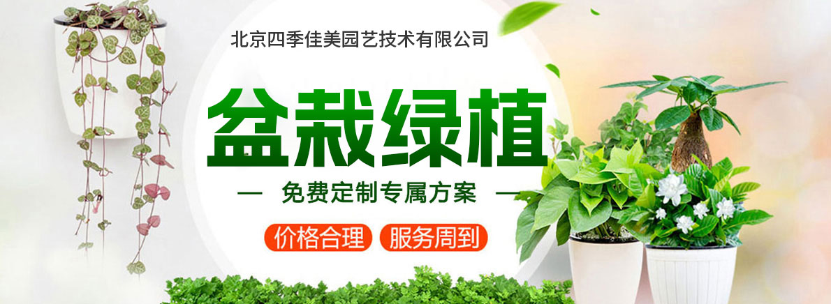其他页广告