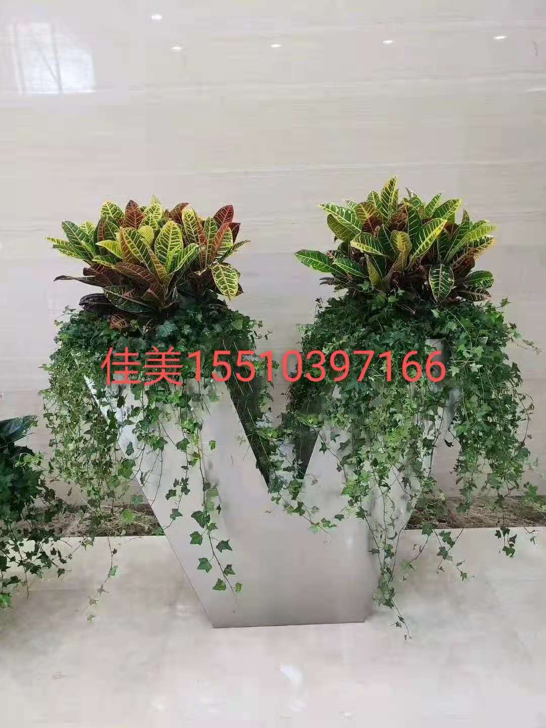 微信图片_20201116102159.jpg