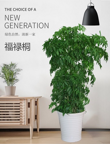 微信图片_20210106142843.jpg