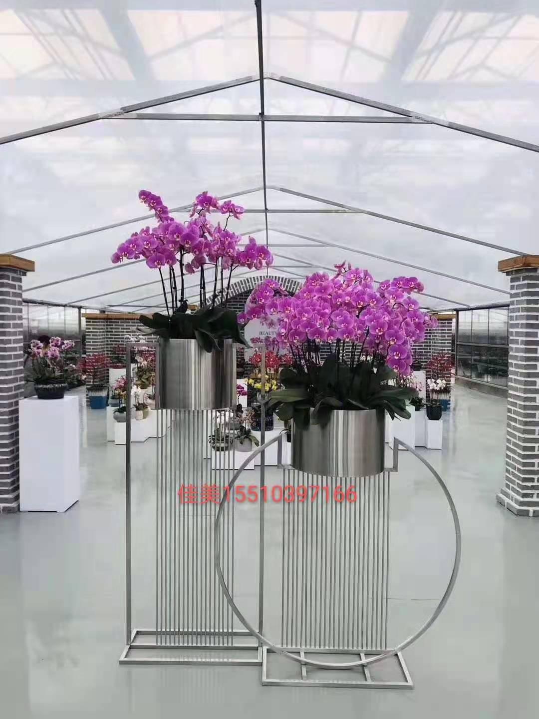 微信图片_20210316201254.jpg