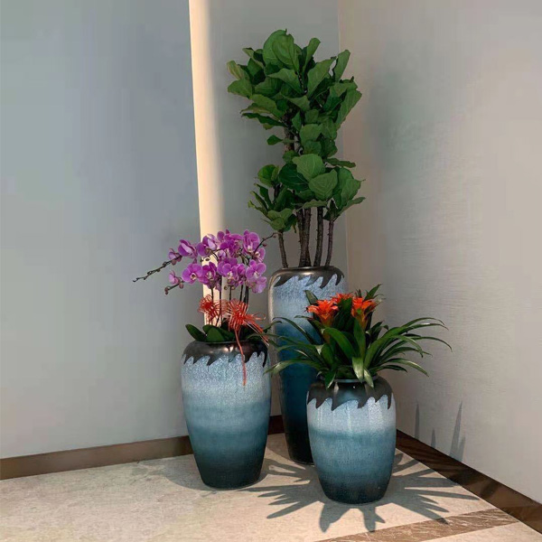 商务大厅花卉摆放.jpg