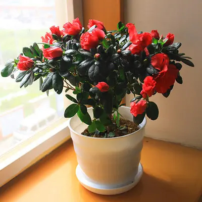 f093ab95f0dbc30.jpg