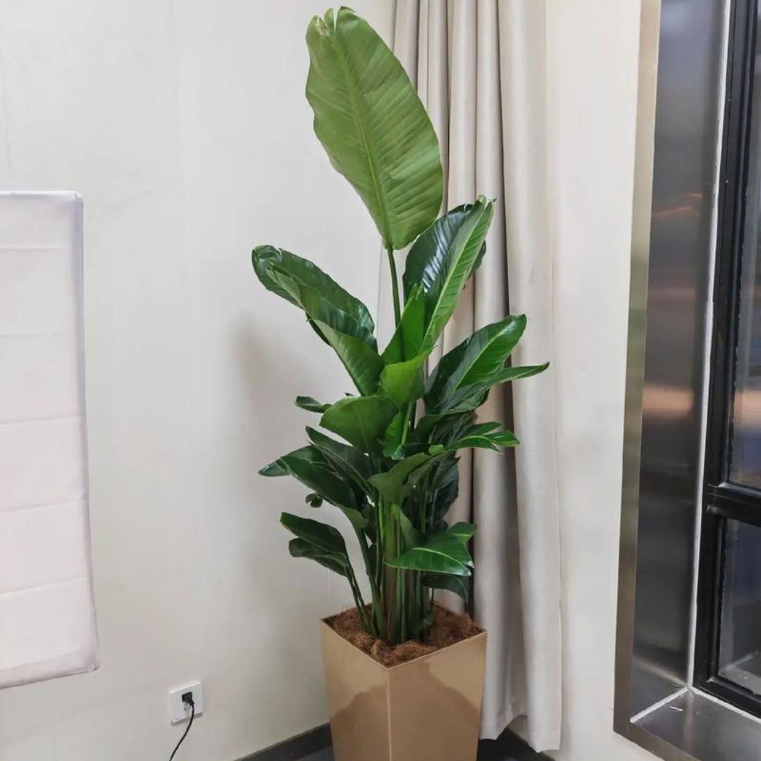 1771819402106159.jpg 微信图片_20251107142756_713_8.jpg